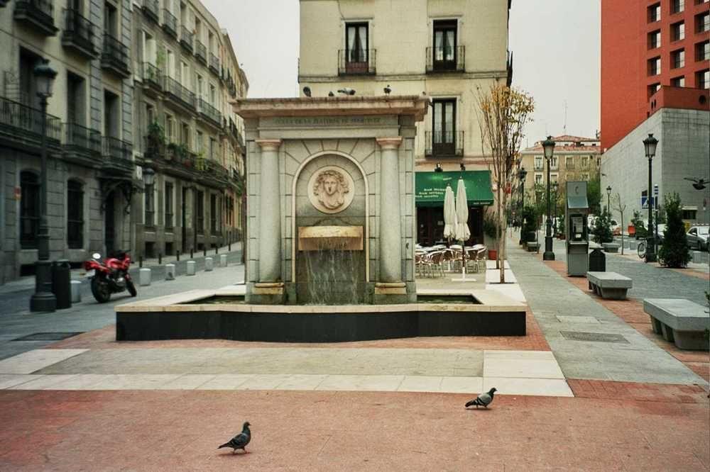 Guest house Bruna Paseo Del Prado 2*